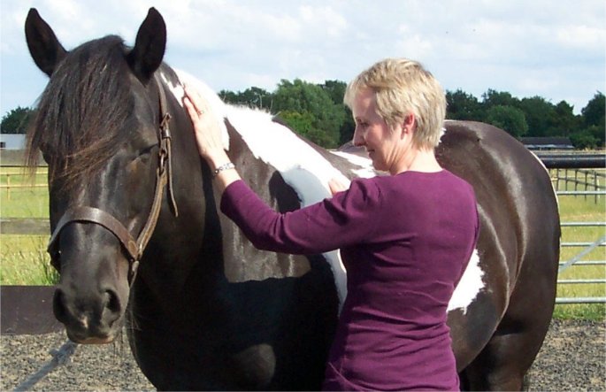 A very calm horse receiving a Reiki treatment from a practitioner